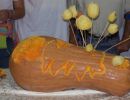zucca